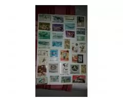 коллекция почтовых марок - 3