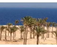 Недвижимость на берегу Красного моря, Хургада, Египет - 5