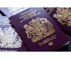 Иммиграционный сервис, визы, статус резидента для граждан ЕС, гражданство UK - 2