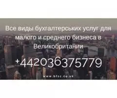 Профессиональные Бухгалтерские и Предпринимательские услуги