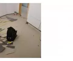 Сервис качественного коврового покрытия! (carpet) - 4