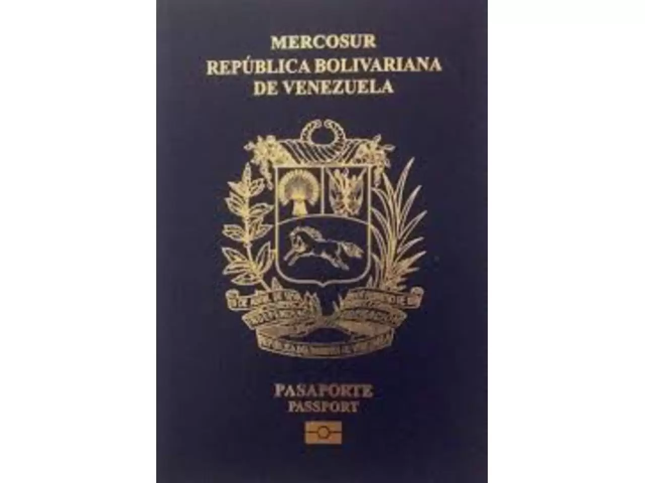 Real #United #States #Passports, Email : expresspass@post.com - 1