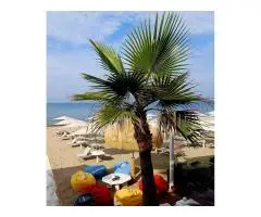 Аренда мансарды для отдыха в Анцио, Италия - 11